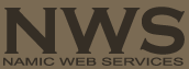 NAMIC Web Services